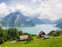 Lake Uri panorama